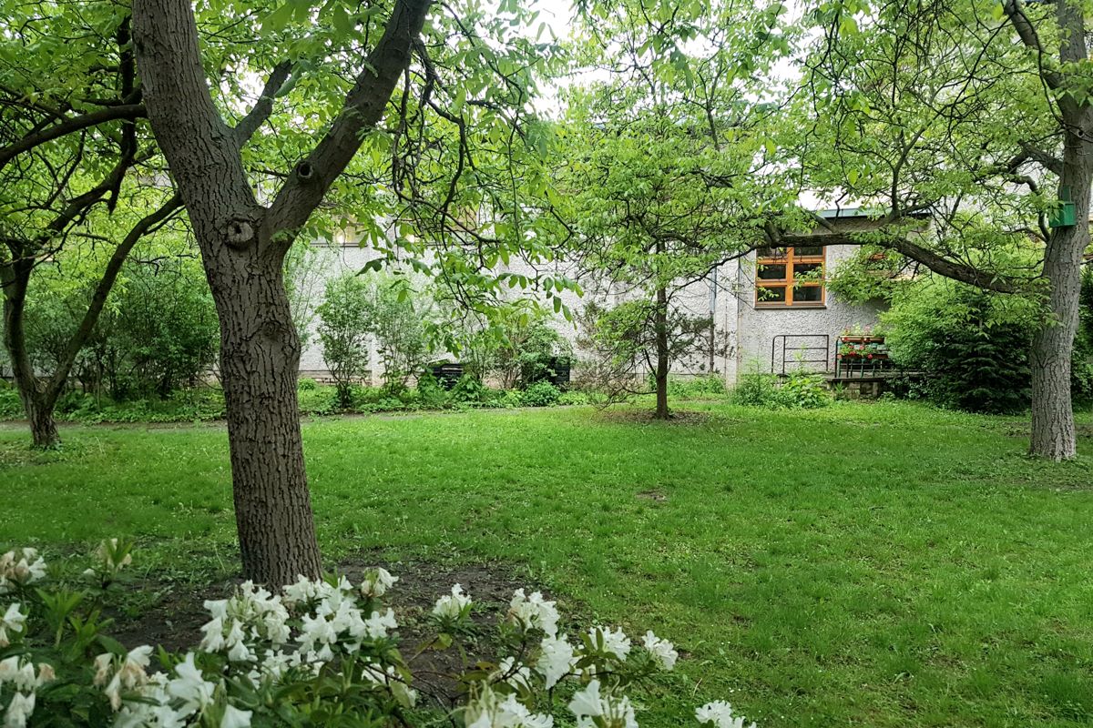 Pavilon školy za rozkvetlými keři školní zahrady